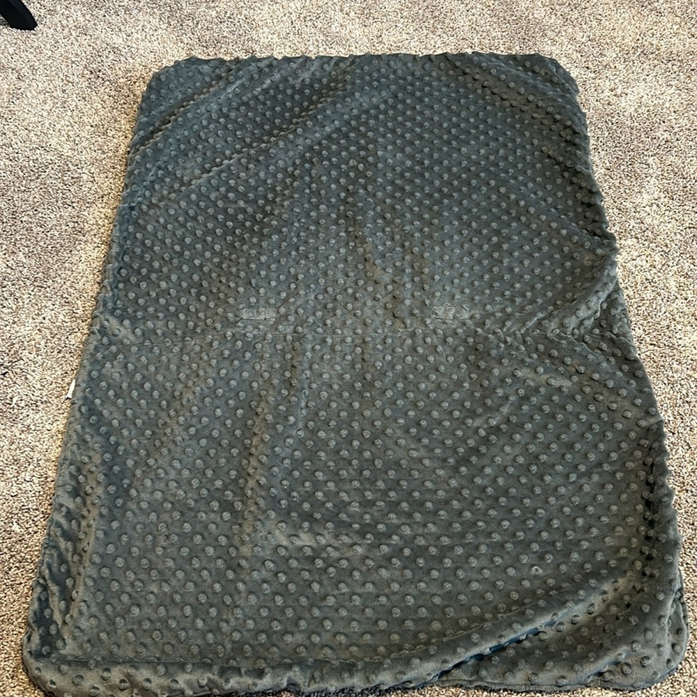 Car seat canopy